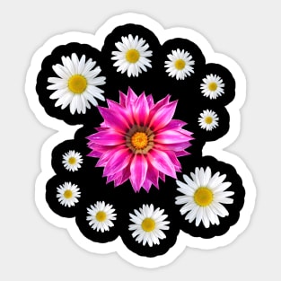 Gazania daisies flower daisy Gazania blossoms bloom Sticker